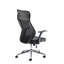 Acire Executive Chair with Headrest
