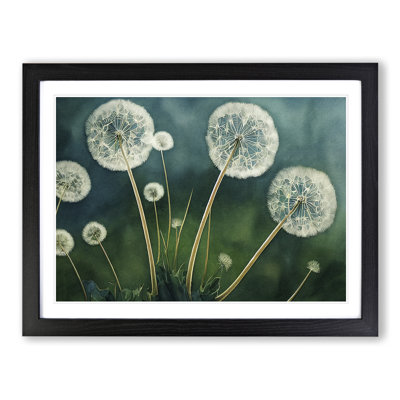 Watercolour Dandelions - Single Picture Frame Print