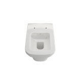Firenze Wall-Hung Toilet Bowl