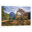 " Cook’s Meadow " by Adam Burton-18690429-74305284-74305285