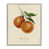 Farmhouse Gray Framed Giclee