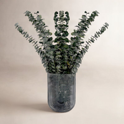 Dried Preserved Baby Eucalyptus Stems