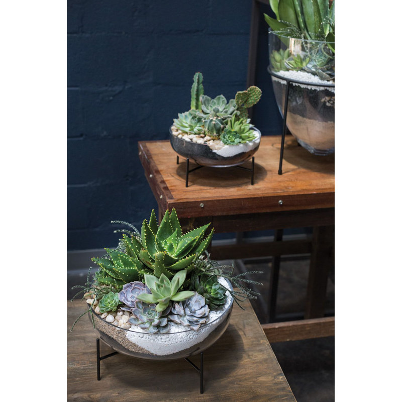 Hendrelino Handmade Glass Pot Planter, 4.75" H x 10" W x 10" D