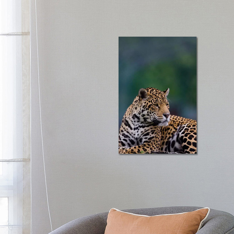 Jaguar by Goran Anastasovski - Wrapped Canvas Print, 66.04 cm H x 45.72 cm W x 1.91 cm D