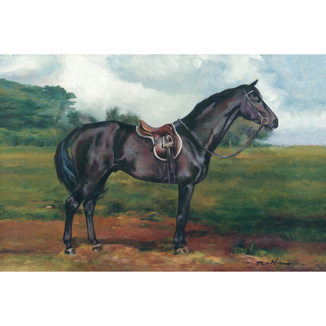 Leinwandbild Black Horse von Marilyn Hageman