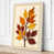 Cream Border