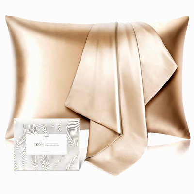 1/Pcs SilkDreams Hair-Safe Pillowcase - 100% Mulberry Silk, Allergen Resistant, 600 Thread Count, Hidden Zipper, Standard Size, Taupe - Luxurious Sleep Experience