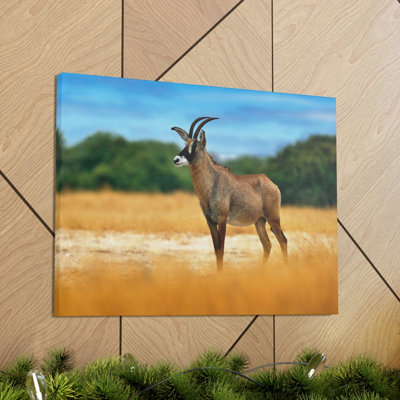 No Frame Print on Canvas