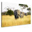 Print on Canvas-23990836