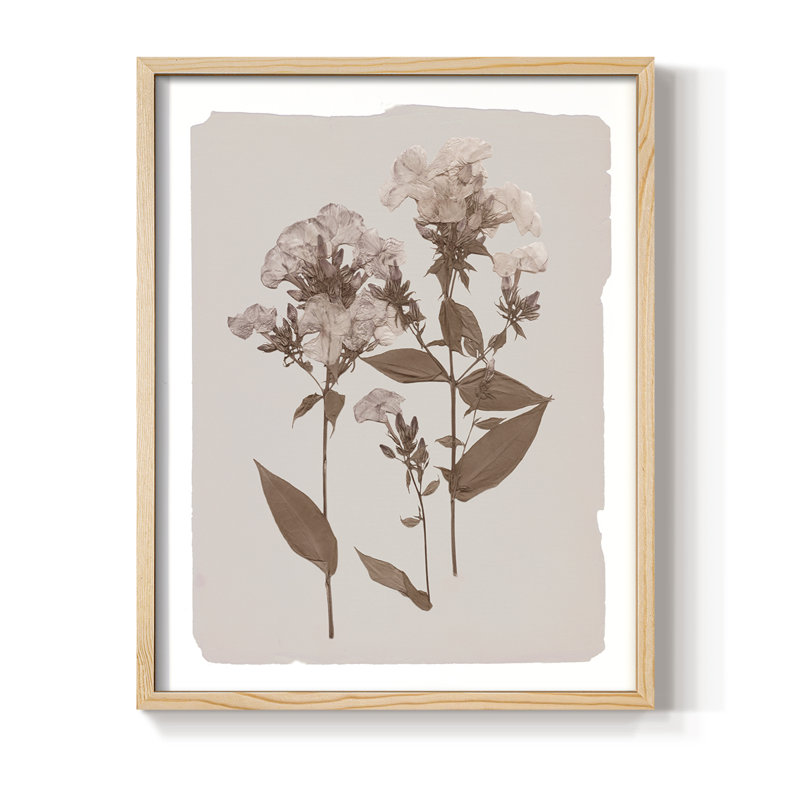 Impression encadrée monochrome Botanical II - bois massif, Naturel, H 21 po x l 17 po
