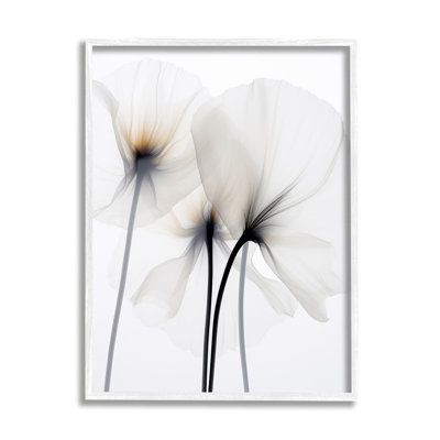 Az-478-Framed " White Poppy Photography " by Irena Orlov