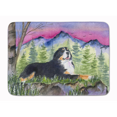 Memory Foam Non-Slip Bath Rug