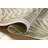 Loloi Easton Ivory / Green Indoor / Outdoor Area Rug-807247837