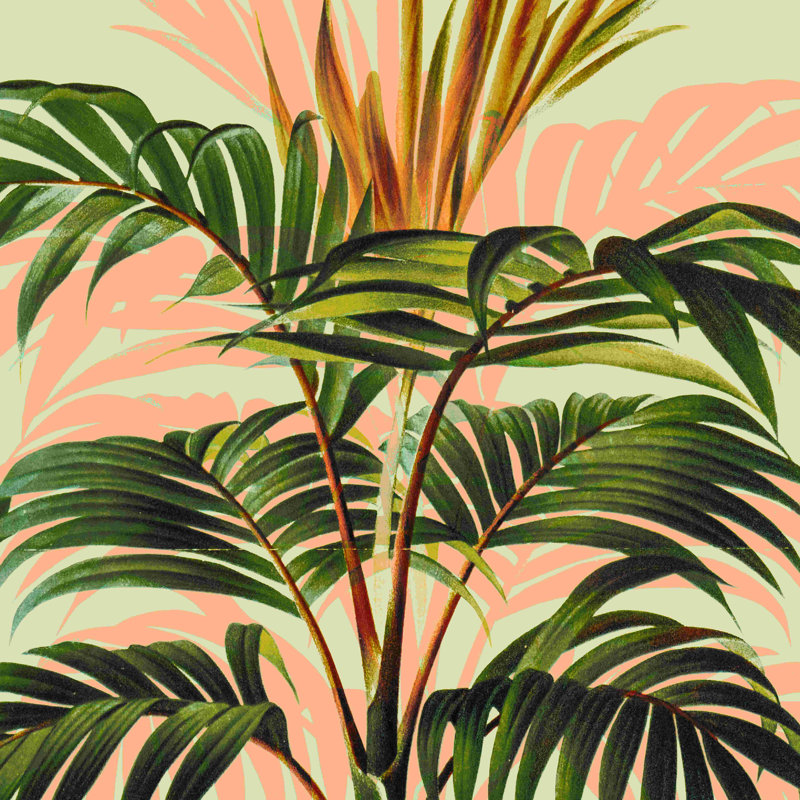 Botanical Collection 018 - Impression sur toile tendue, L 12 po x H 12 po