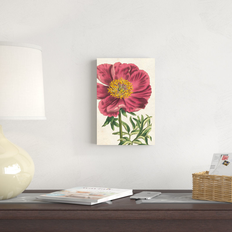 Pivoine botanique sans mots, H 12 po x l 8 po x P 1,25 po