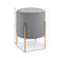 Accringt Stainless Steel Accent Stool-862898459