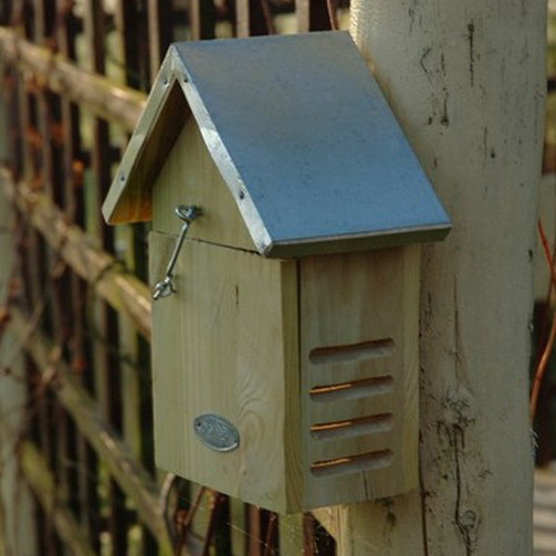 Ladybird House