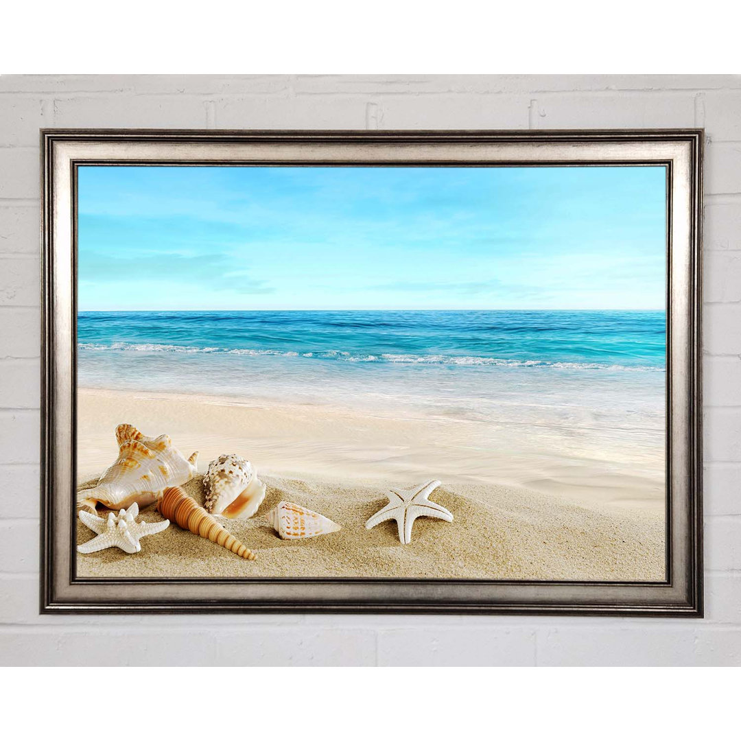 Gerahmtes Bild Ocean Shells