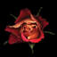 Le baiser d'une rose, reproduction de photo sur toile tendue-18516531-74403327-74403333