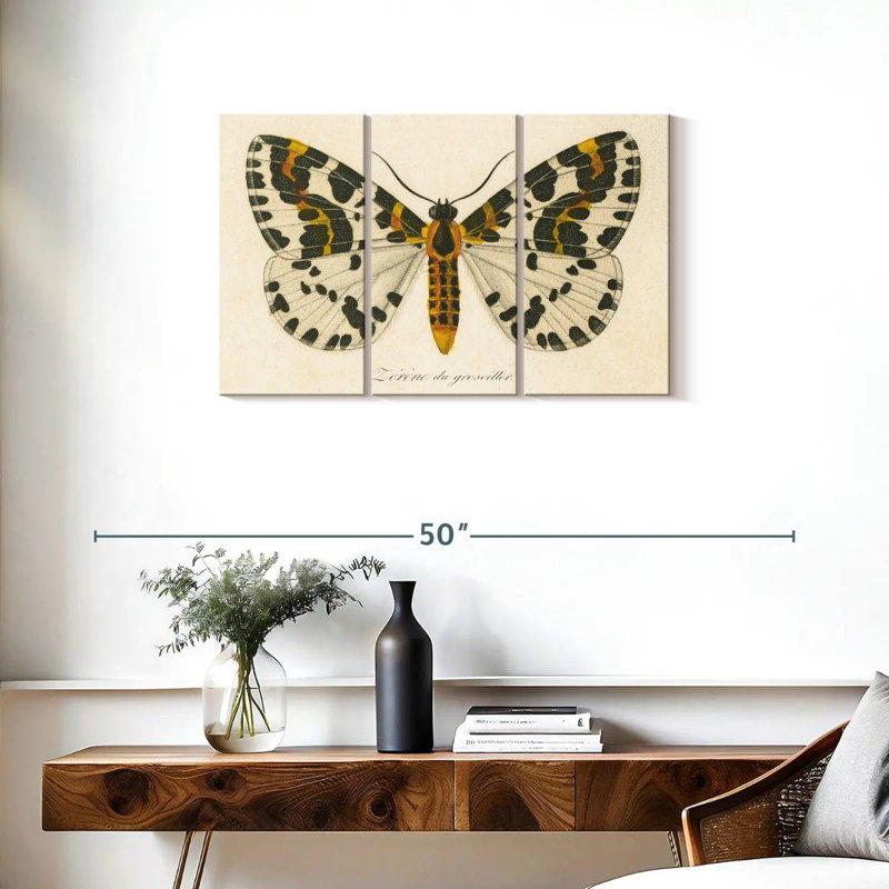 Brampt Natures Butterfly IV, 20" H x 33" W
