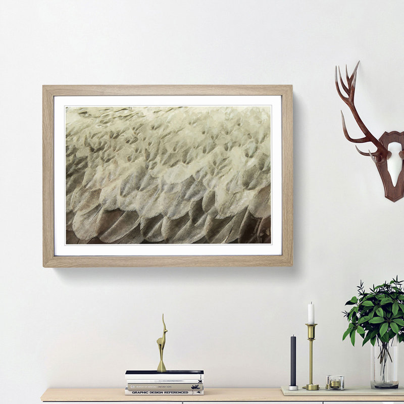 Feathers - Picture Frame Graphic Art Print, 50cm H x 76cm W x 2cm D, Oak