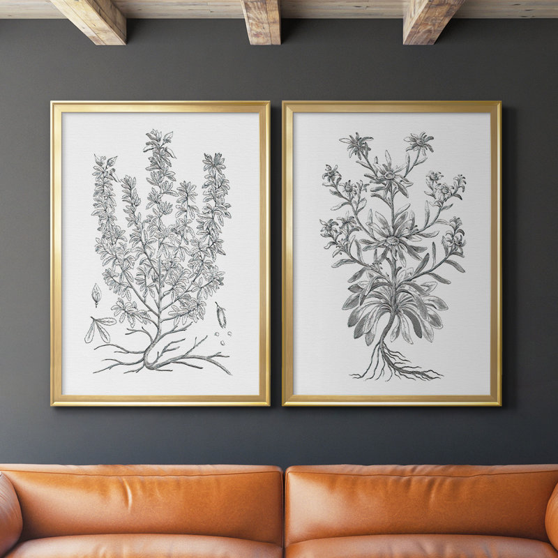 B&W Plant Spechantillon V - Ensemble de 2 reproductions de cadres photo sur toile, Or, H 41,25 po x l 61 po x P 1,25 po