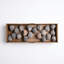 Plateau Talami On Stem 20Pc