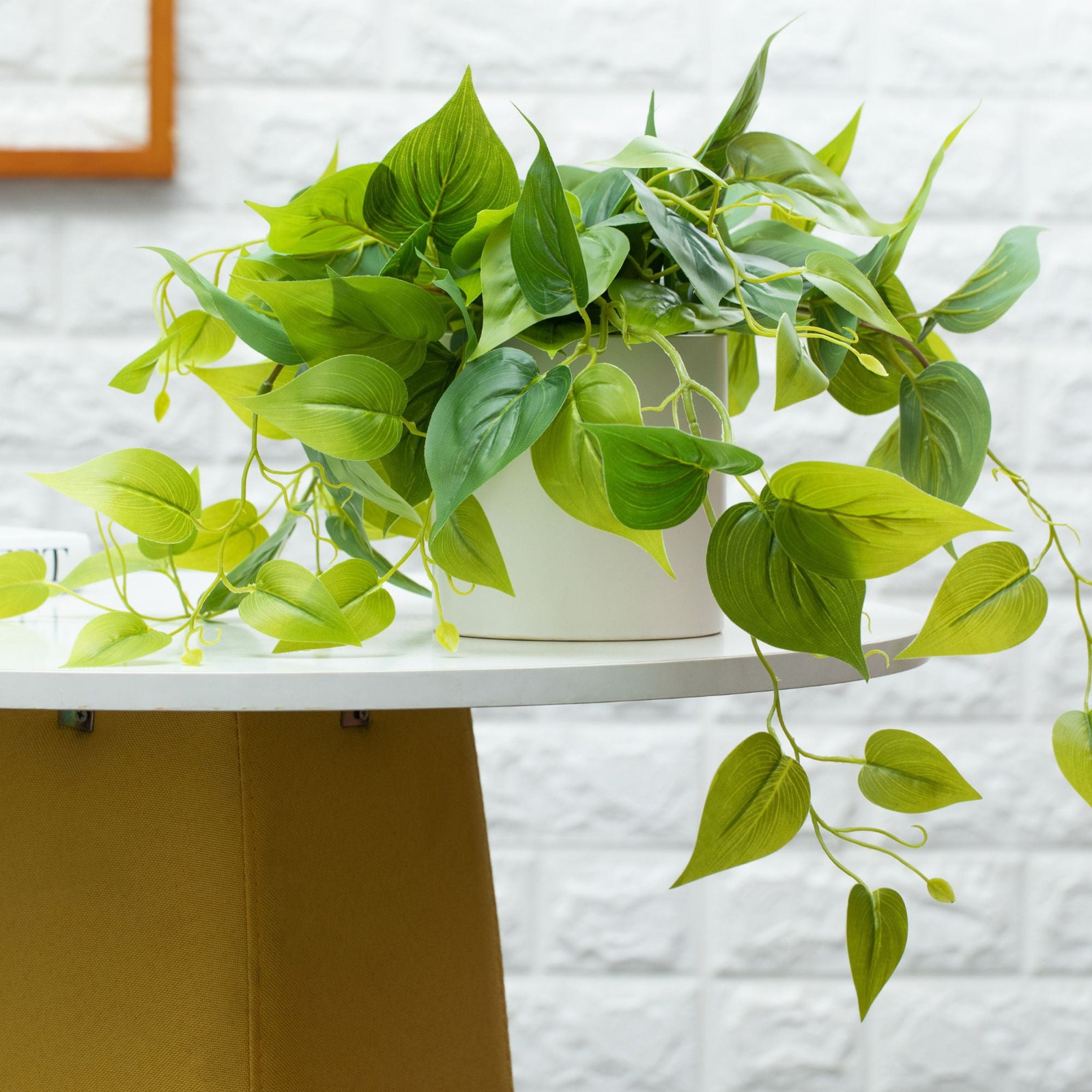 14" Pothos Plant in Pot, 2, White