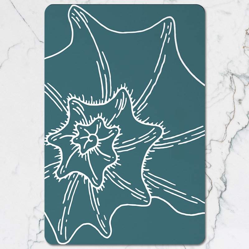Teal Floral Line Art Placemat Coaster Set Twelve Piece Designer Artwork Wood Backing Exclusive