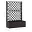 VidaXL Jardinière en treillis surélevé à motif de rotin-61768048-61686725