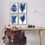 Varech bleu océan-115738175-115746985