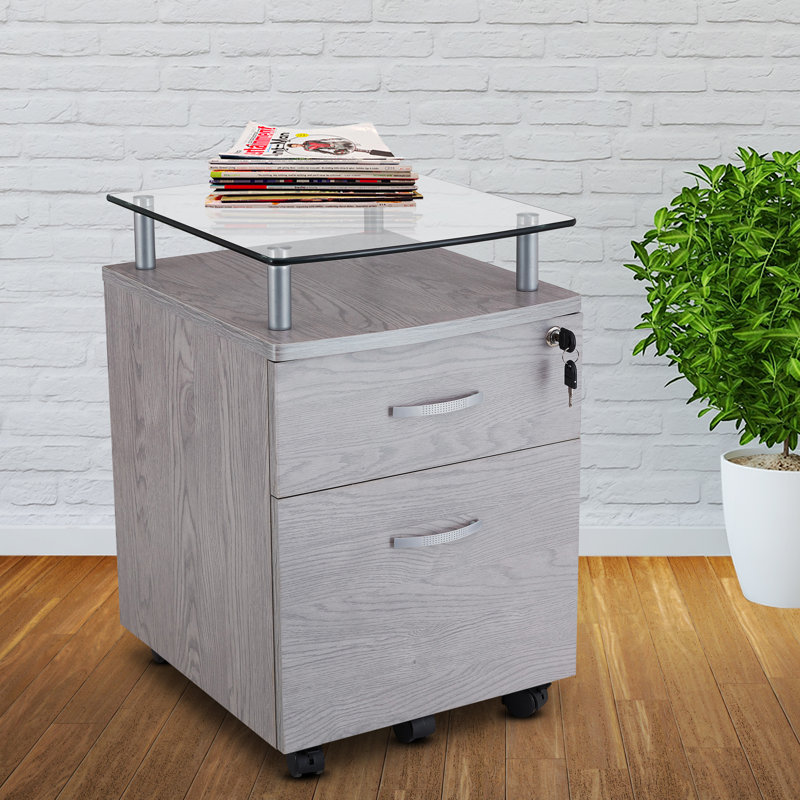 Sadik 15.5'' Wide 2 - Drawer Storage Cabinet, Gray