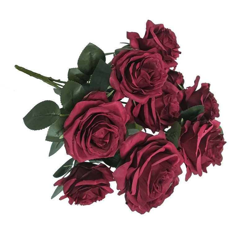 Grand rosier Jaafer Deluxe, Bourgogne