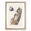 Red-Headed Woodpeckers by John James Audubon - Picture Frame Painting Print-55598560-55598559