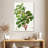 Keiri Carob Tree-108383668