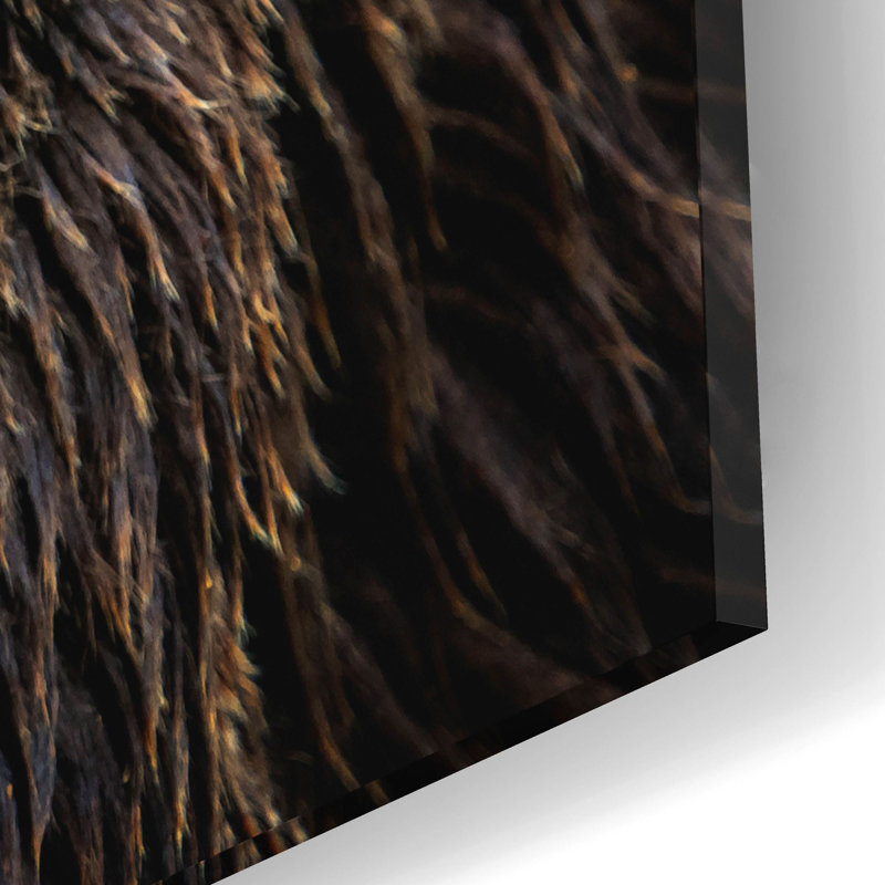 «Brown Bear» par Epic Portfolio, art mural en verre acrylique, H 12 po x l 16 po x P 0,13 po