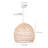 Turbeville 1 - Light Rattan Dome Pendant-695558337