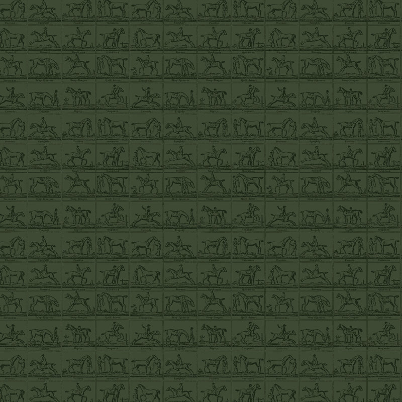 Joules Horse Grid Green Wallpaper