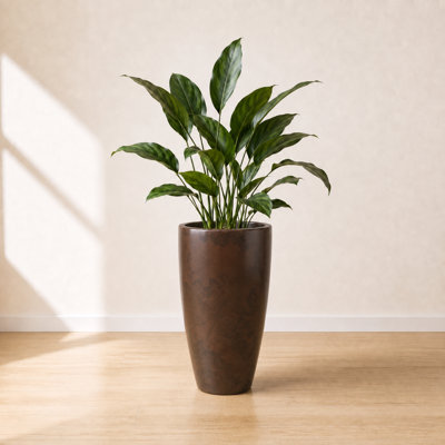 ECOBO Eco-Friendly Round Pot Planter, VicenzaIndoor/Outdoor use,Four Season Use