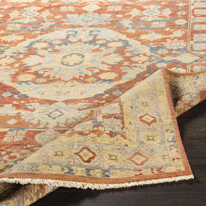 Tysheen Hand Knotted Wool Rust/Brown/Blue Rug, Rectangle 2' x 3'