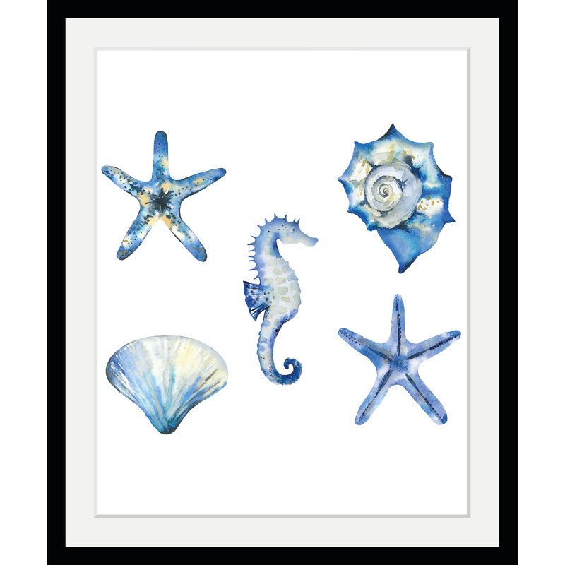 Shell - Single Picture Frame Print