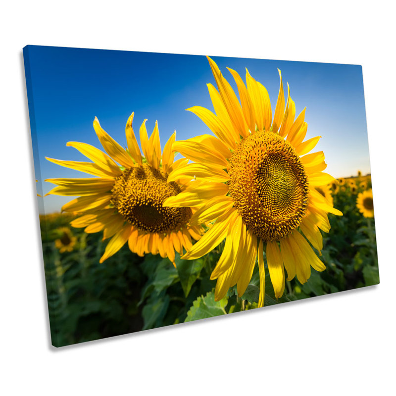 Sunflower Floral Scene - Wrapped Canvas Art Prints, 30.5cm H x 45.7cm W x 2cm D