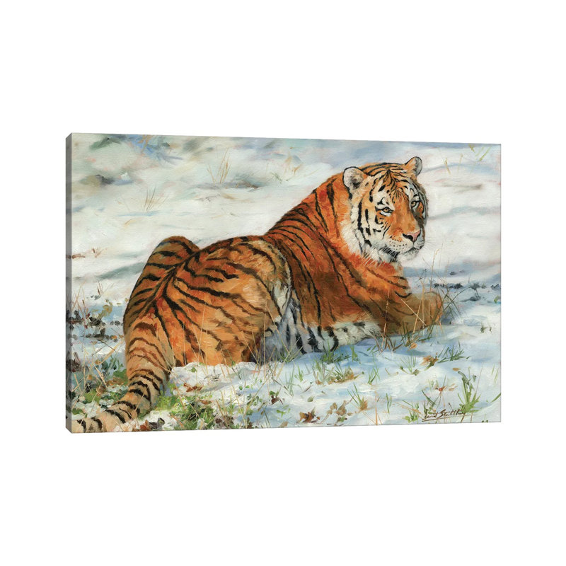 Tiger In Snow - Wrapped Canvas Print, 30.48 cm H x 45.72 cm W