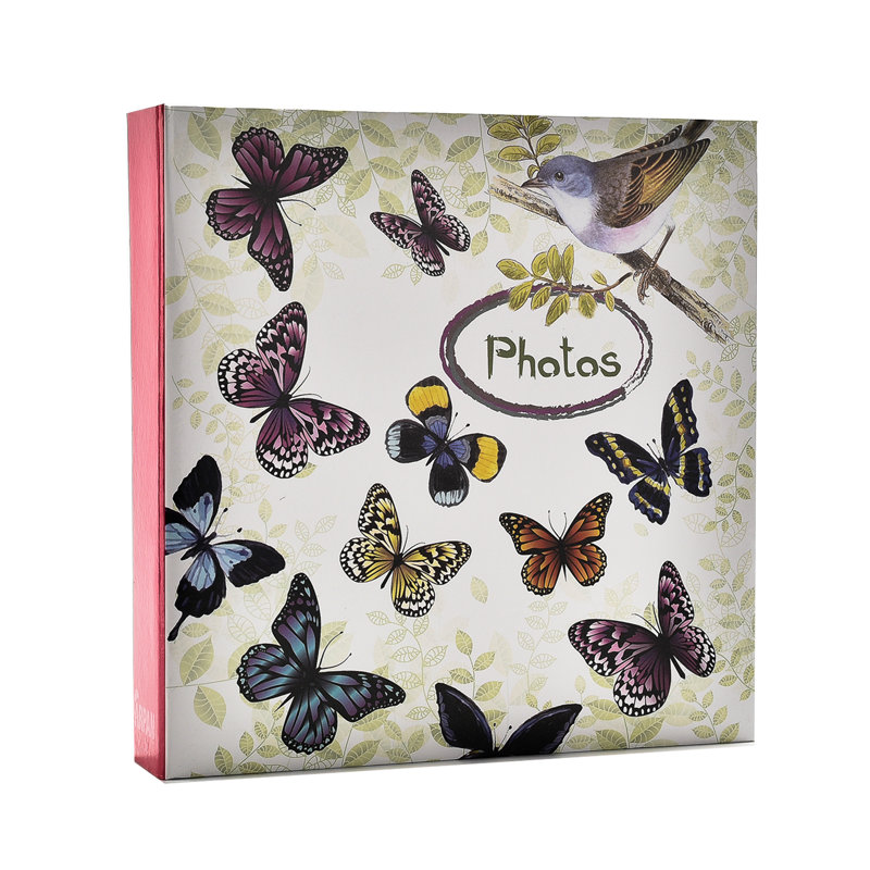 Cardboard Album