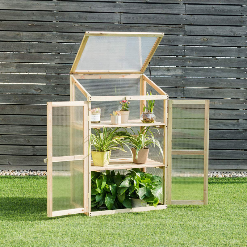 Akwasi 2 Ft W x 1.5 Ft D Growing Rack, Wood