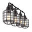 Detrick Vanity Light-820349131