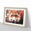 Curious Fox in Abstract - Picture Frame Graphic Art Print-55679731-55679735