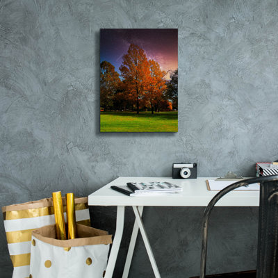  'Shooting Star' by Dante Plata Canvas Wall Art, 12" x 16"