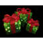 Coffret de Noël illuminé-442469659