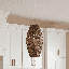 Tierra Brisa 1-Light Pendant in Riviera Brass by Breegan Jane
